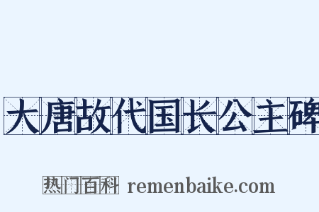 大唐故代国长公主碑是什么意思的图片